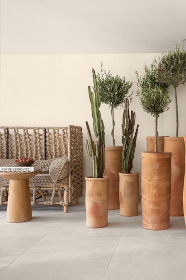 Chic lobby featuring large terracotta pots with cacti and olive trees, alongside wicker seating and wooden stools